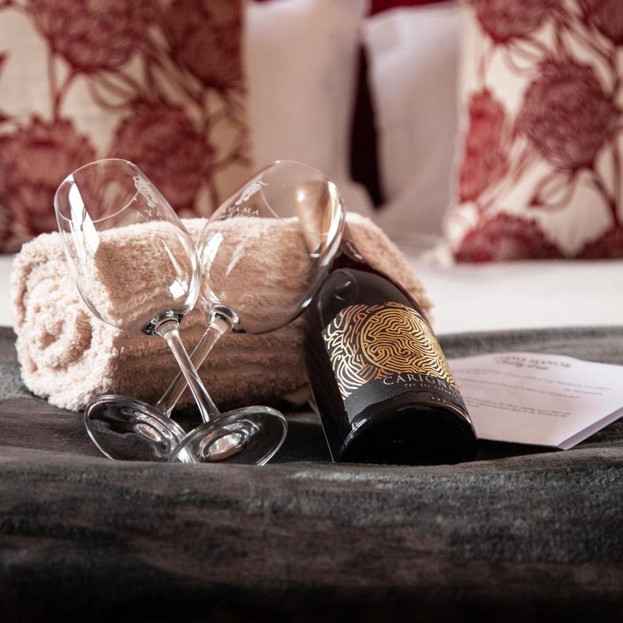 Bed and Breakfast Ayama Wine Farm - Manor House Wellington Exterior foto