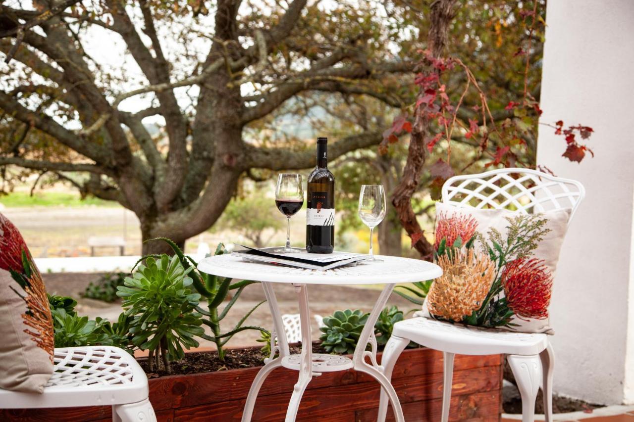 Bed and Breakfast Ayama Wine Farm - Manor House Wellington Exterior foto